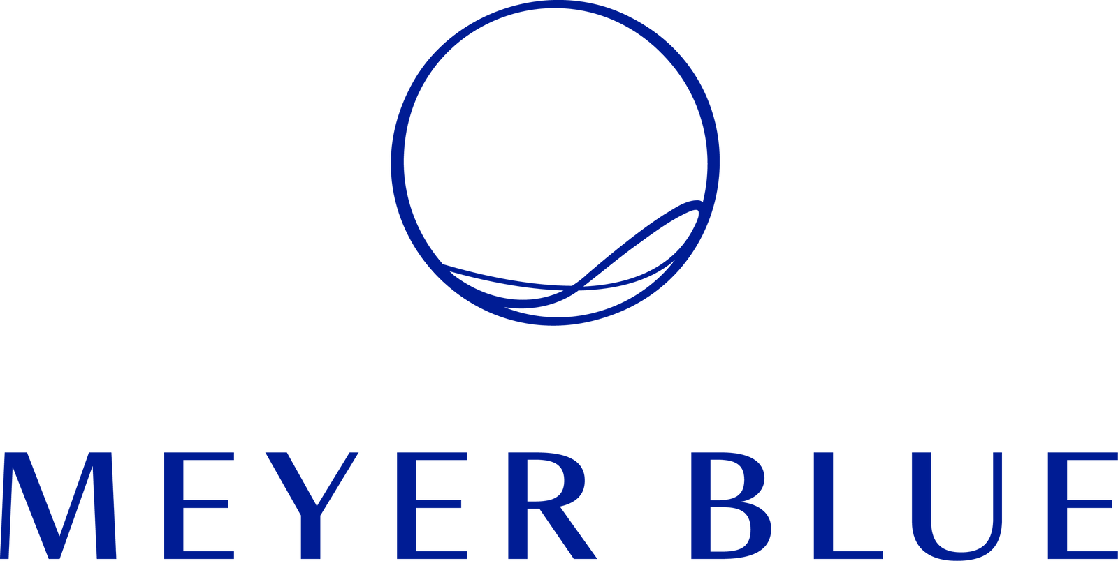 Meyer Blue — photo 14 of 21