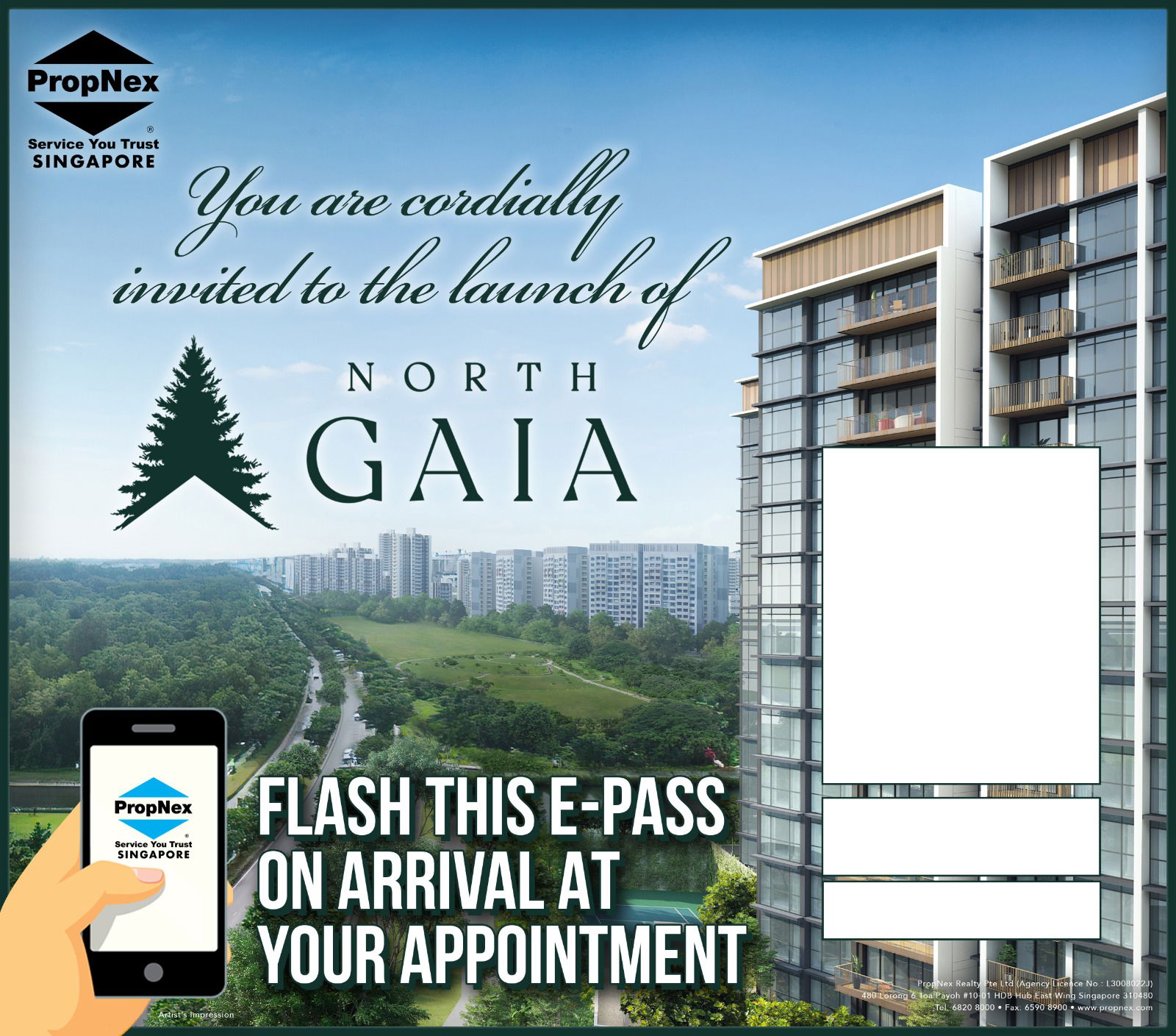 North Gaia — photo 2 of 22