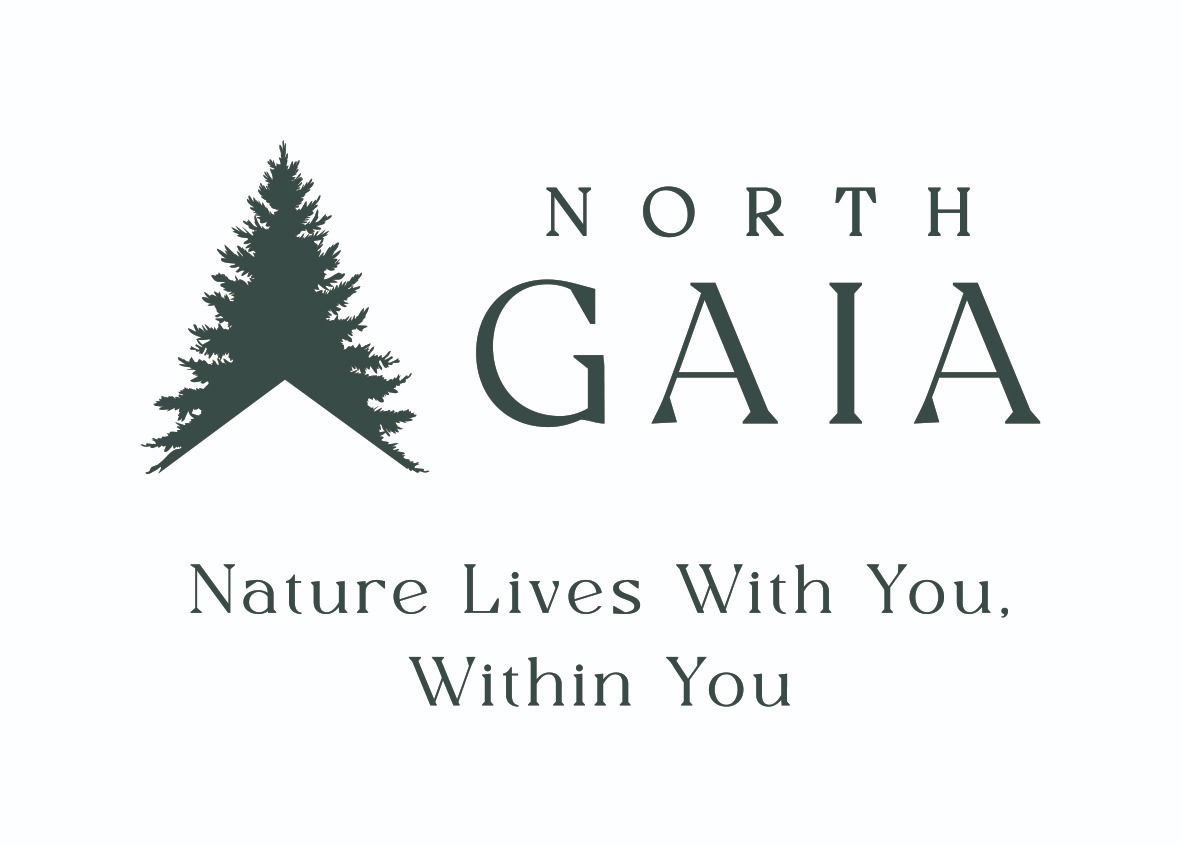 North Gaia — photo 19 of 22