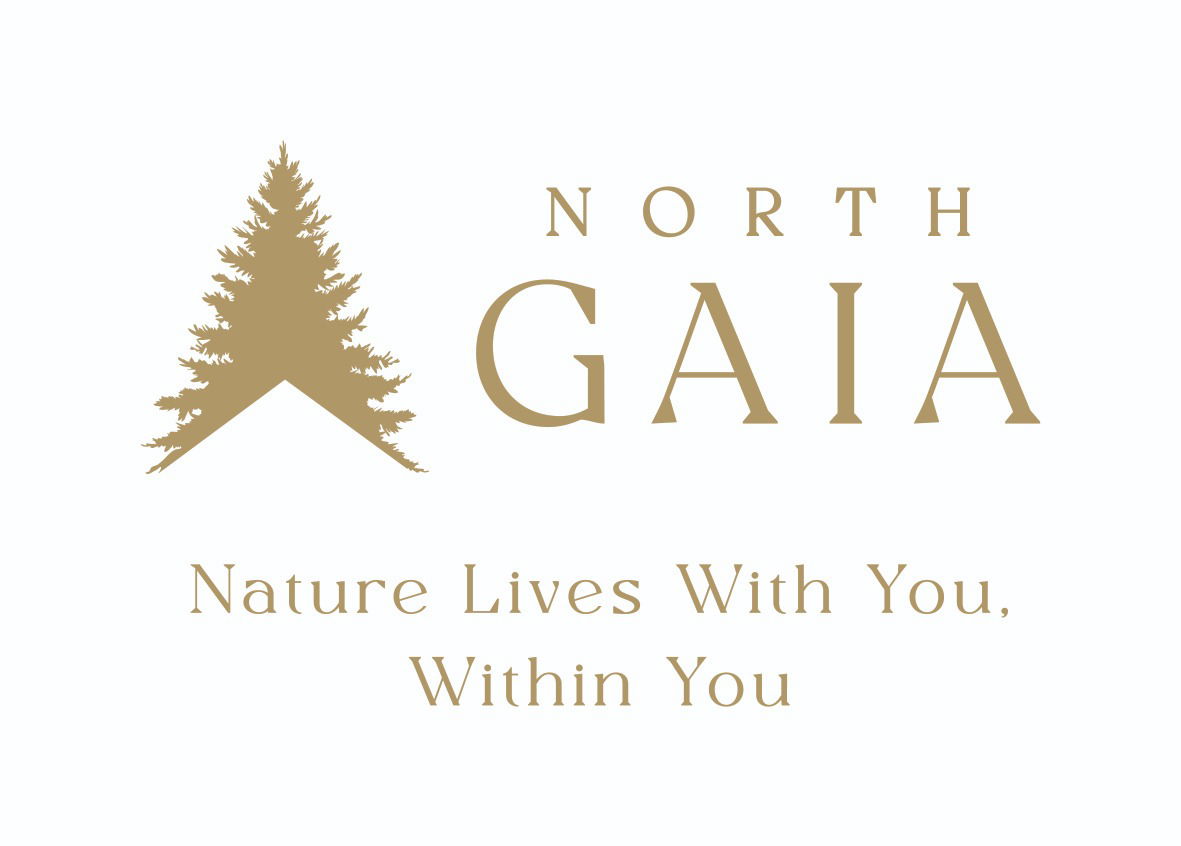 North Gaia — photo 9 of 22