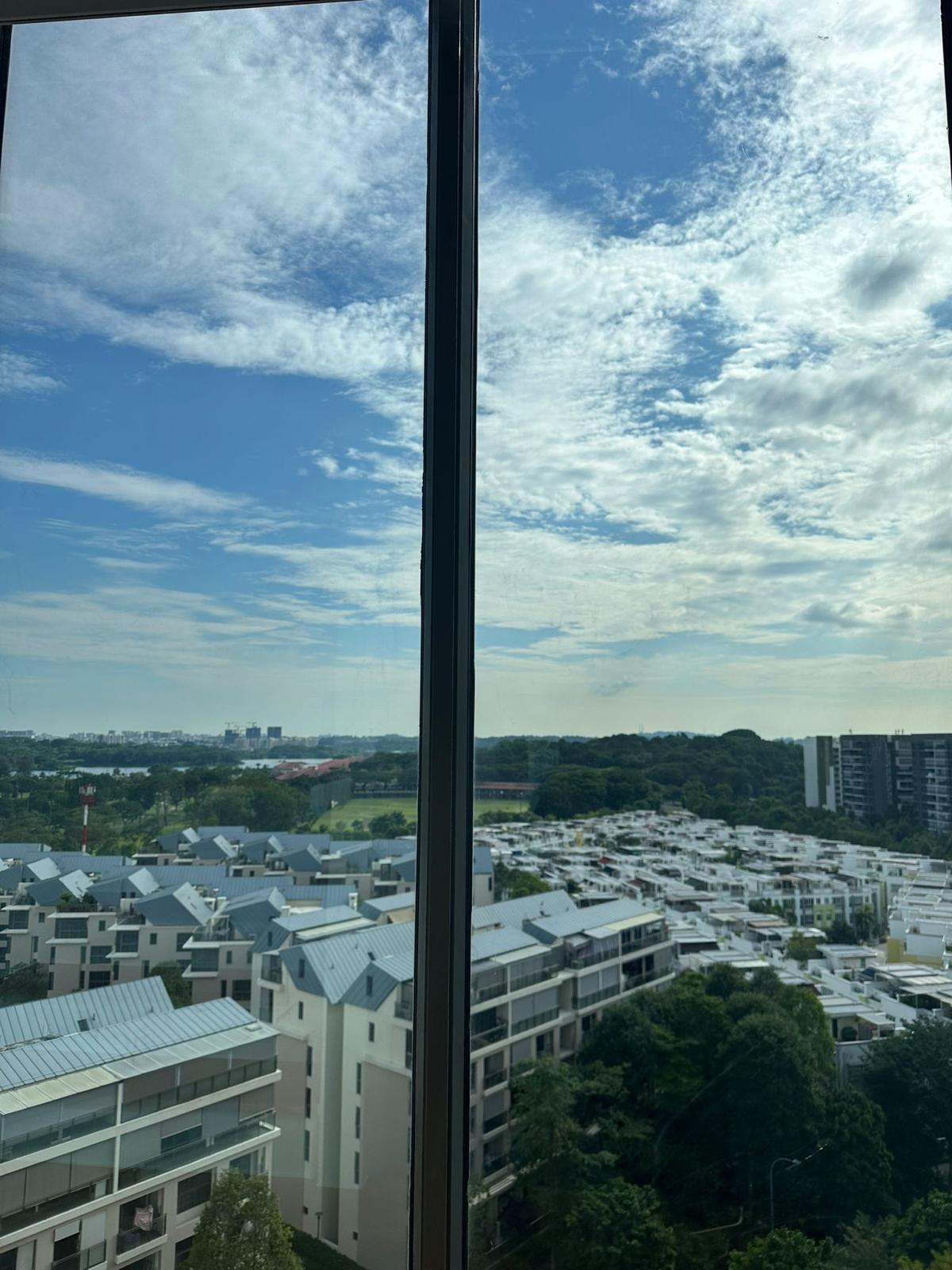 Skies Miltonia — photo 9 of 13